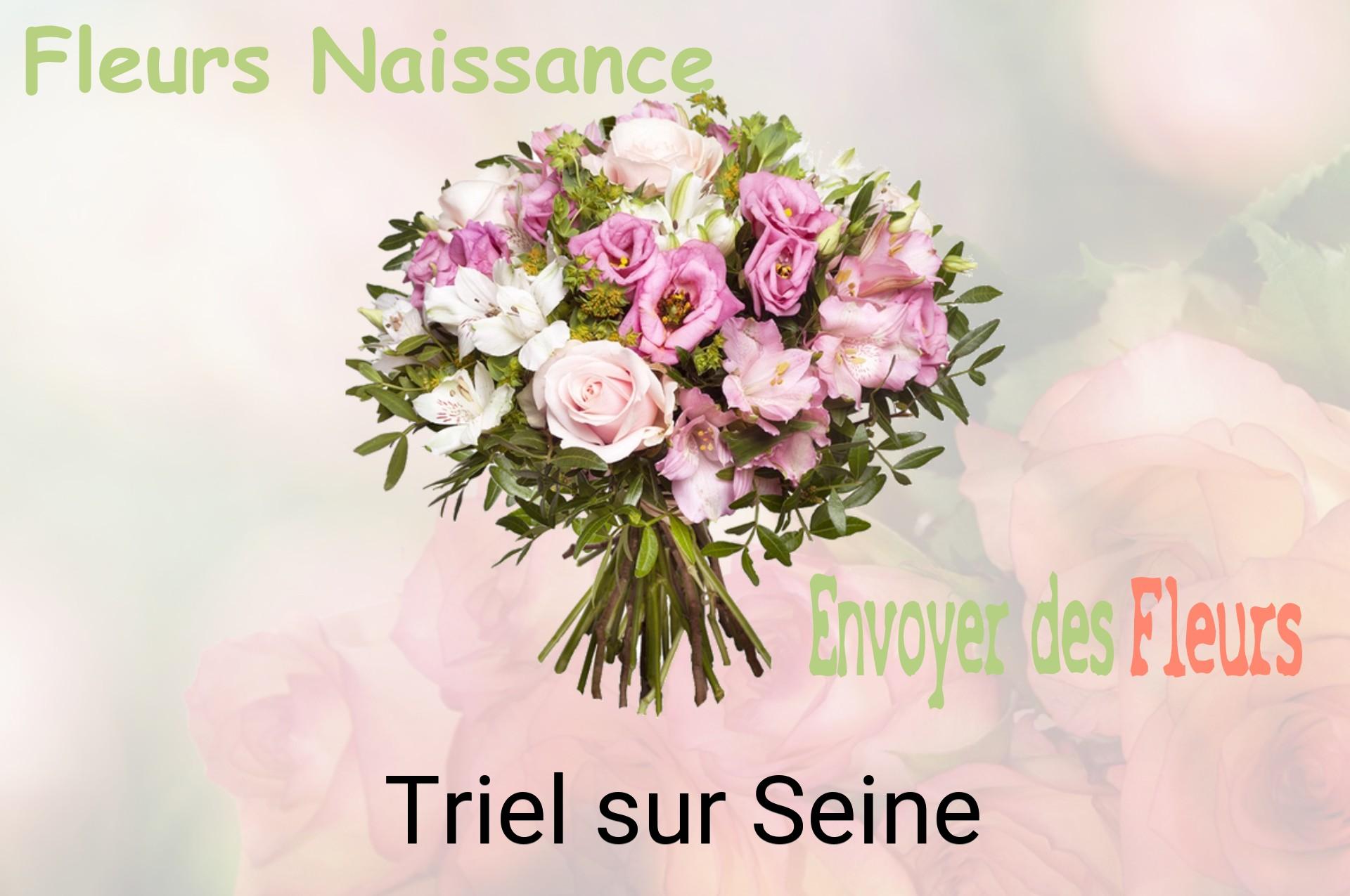 Bouquet de fleurs de naissance livré à Triel-sur-Seine