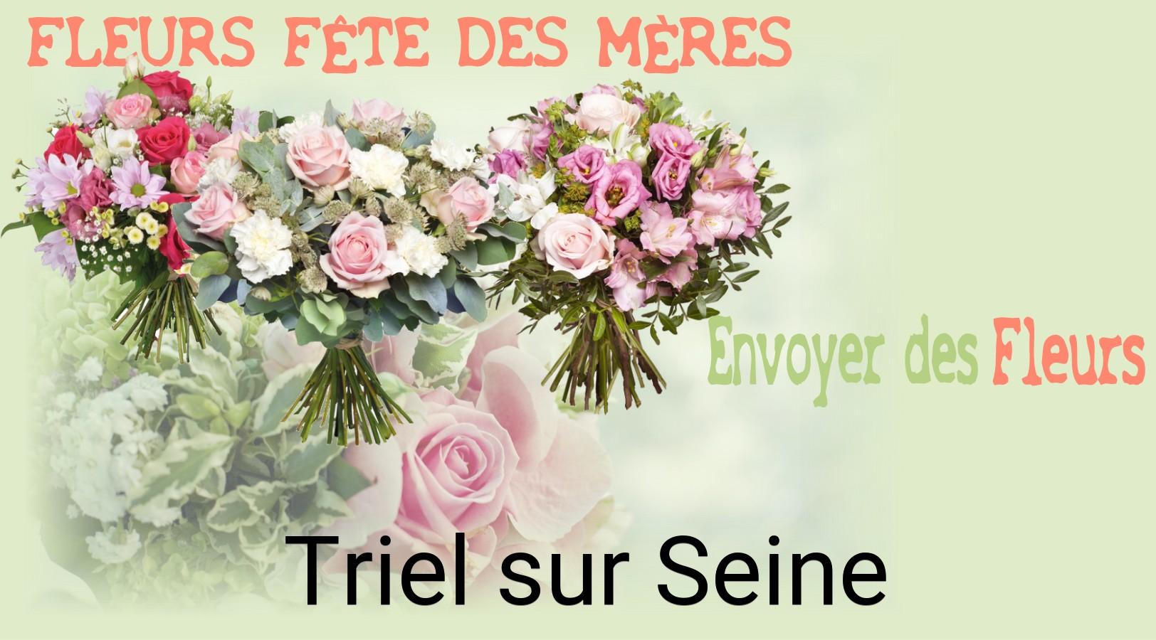 Bouquet de Fête des Mères livré à Triel-sur-Seine